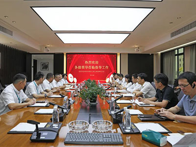 拚經濟 促發展！溫州灣新區黨工委副書記謝忠誠率隊赴集團（tuán）開展調研（yán）督導活動