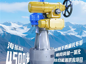 4500米（mǐ）！良（liáng）固閥門集團服務全（quán）球海拔最高的光熱電站