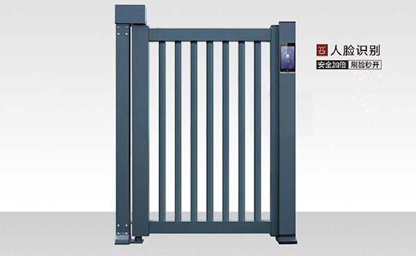 小門（mén）-L20(電動（dòng）)